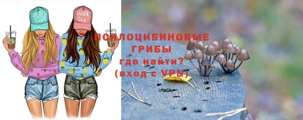 a pvp Алексин