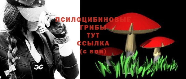 ALPHA PVP Аркадак